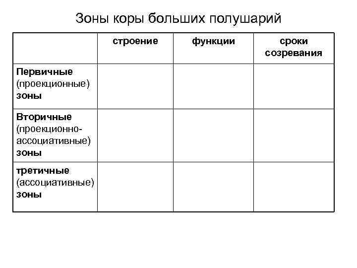 Зоны коры больших полушарий строение Первичные (проекционные) зоны Вторичные (проекционноассоциативные) зоны третичные (ассоциативные) зоны