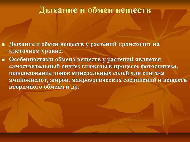 Презентация 6 класс дыхание и обмен веществ у растений 6 класс