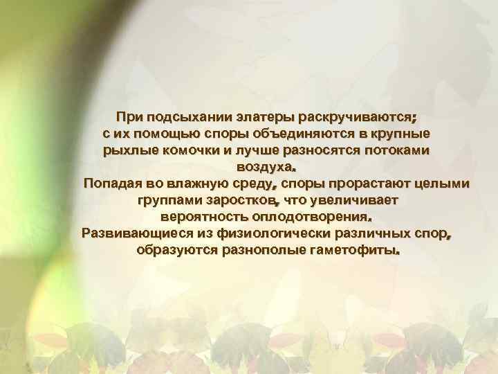 При подсыхании элатеры раскручиваются; с их помощью споры объединяются в крупные рыхлые комочки и