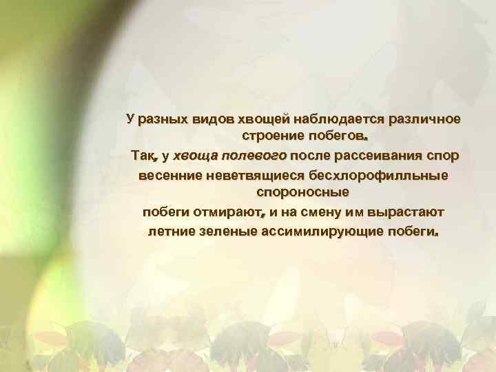 У разных видов хвощей наблюдается различное строение побегов. Так, у хвоща полевого после рассеивания