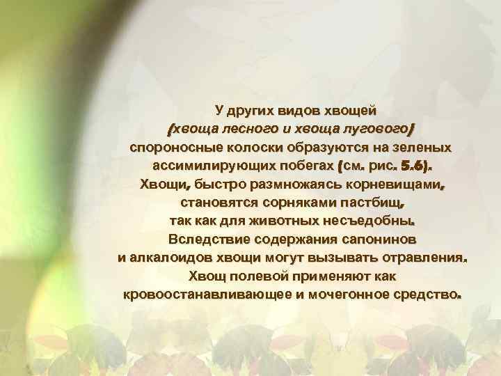 У других видов хвощей (хвоща лесного и хвоща лугового) спороносные колоски образуются на зеленых