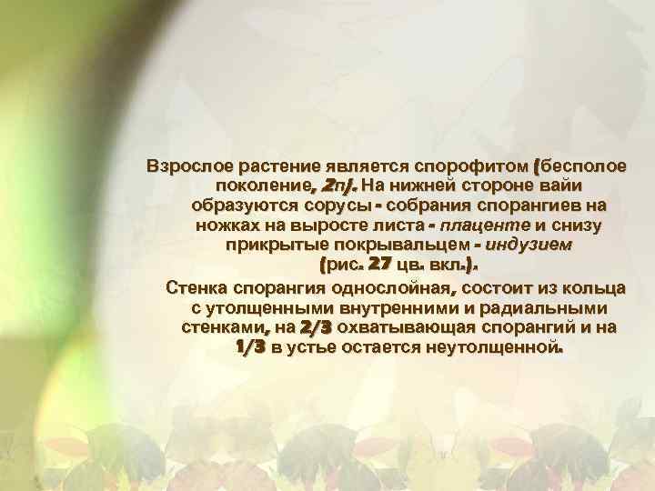 Взрослое растение является спорофитом (бесполое поколение, 2 п). На нижней стороне вайи образуются сорусы
