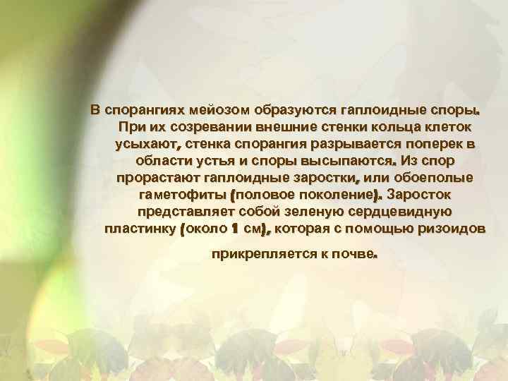 В спорангиях мейозом образуются гаплоидные споры. При их созревании внешние стенки кольца клеток усыхают,