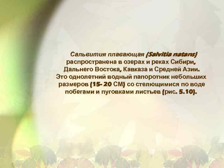 Сальвития плавающая (Salvitia natans) распространена в озерах и реках Сибири, Дальнего Востока, Кавказа и