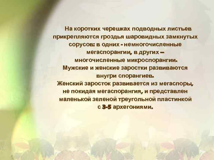 На коротких черешках подводных листьев прикрепляются гроздья шаровидных замкнутых сорусов: в одних - немногочисленные