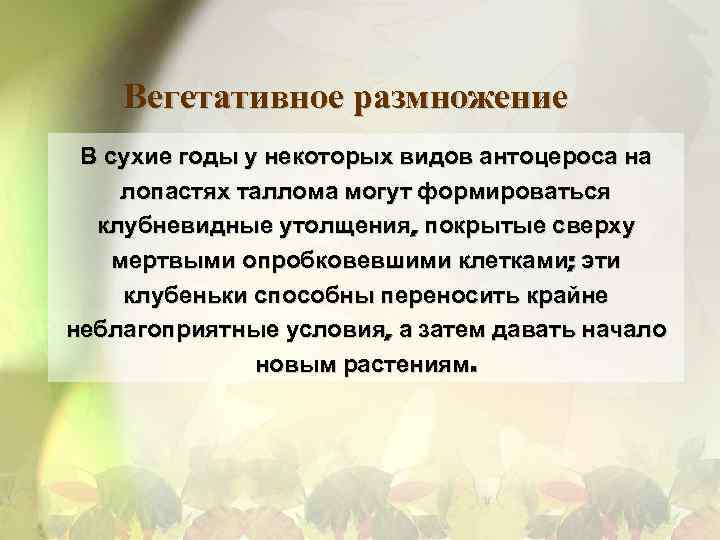 Вегетативное размножение В сухие годы у некоторых видов антоцероса на лопастях таллома могут формироваться