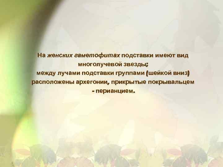 На женских гаметофитах подставки имеют вид многолучевой звезды; между лучами подставки группами (шейкой вниз)