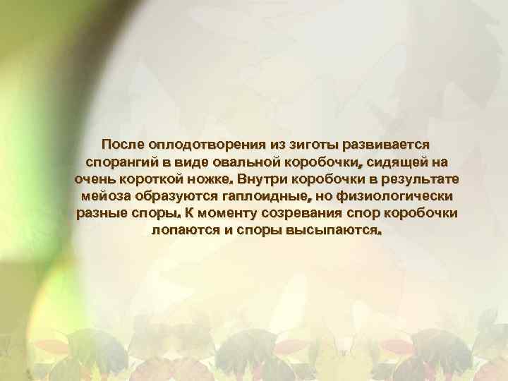 После оплодотворения из зиготы развивается спорангий в виде овальной коробочки, сидящей на очень короткой