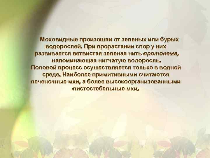 Моховидные произошли от зеленых или бурых водорослей. При прорастании спор у них развивается ветвистая