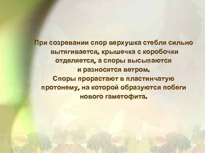 При созревании спор верхушка стебля сильно вытягивается, крышечка с коробочки отделяется, а споры высыпаются