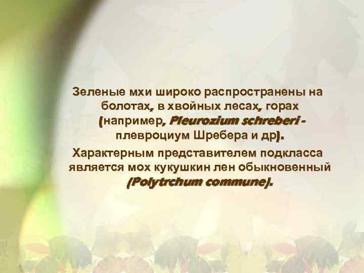 Зеленые мхи широко распространены на болотах, в хвойных лесах, горах (например, Pleurozium schreberi плевроциум