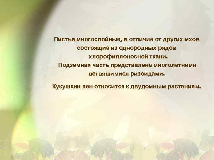 Листья многослойные, в отличие от других мхов состоящие из однородных рядов хлорофиллоносной ткани. Подземная