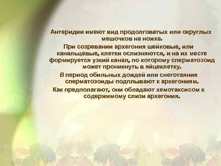 Антеридии имеют вид продолговатых или округлых мешочков на ножке. При созревании архегония шейковые, или