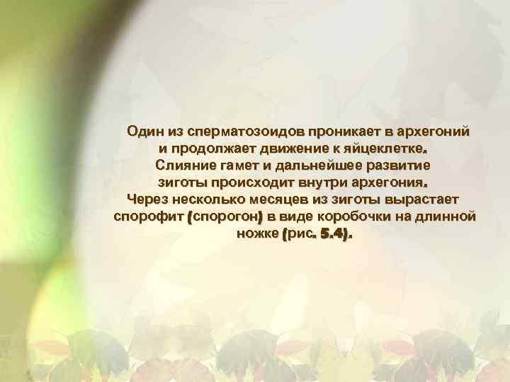 Один из сперматозоидов проникает в архегоний и продолжает движение к яйцеклетке. Слияние гамет и