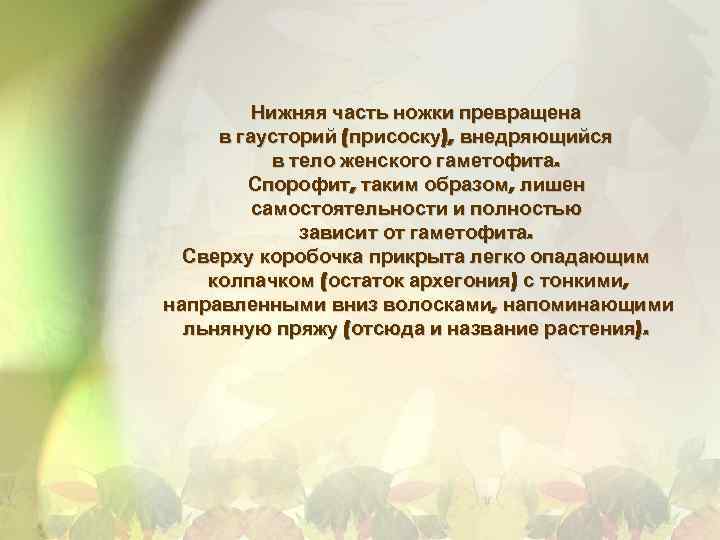Нижняя часть ножки превращена в гаусторий (присоску), внедряющийся в тело женского гаметофита. Спорофит, таким