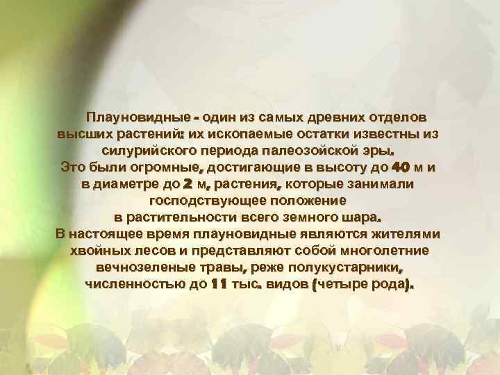 Плауновидные - один из самых древних отделов высших растений: их ископаемые остатки известны из