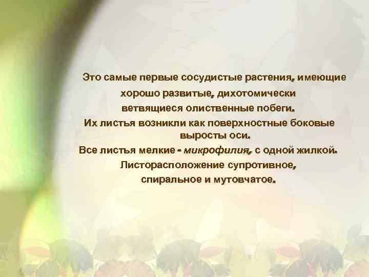 Это самые первые сосудистые растения, имеющие хорошо развитые, дихотомически ветвящиеся олиственные побеги. Их листья