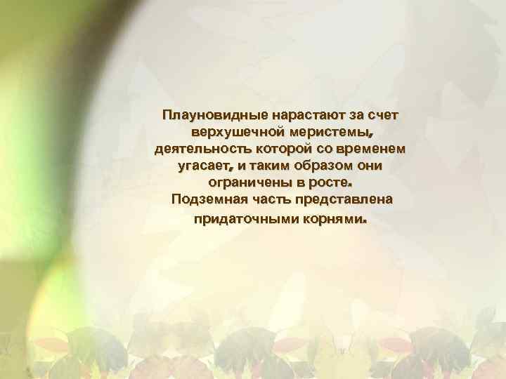Плауновидные нарастают за счет верхушечной меристемы, деятельность которой со временем угасает, и таким образом