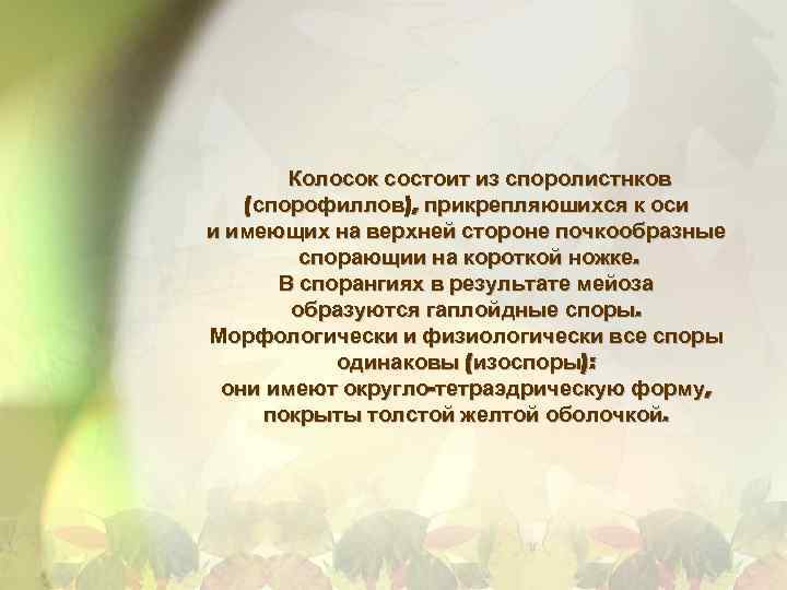 Колосок состоит из споролистнков (спорофиллов), прикрепляюшихся к оси и имеющих на верхней стороне почкообразные