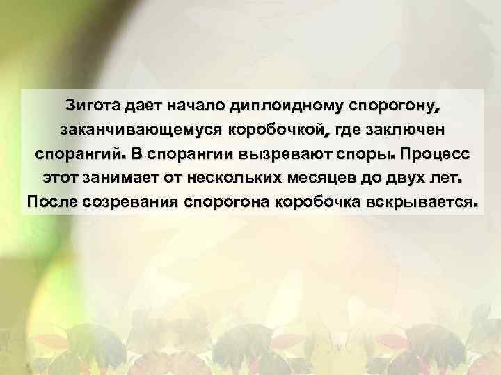 Зигота дает начало диплоидному спорогону, заканчивающемуся коробочкой, где заключен спорангий. В спорангии вызревают споры.