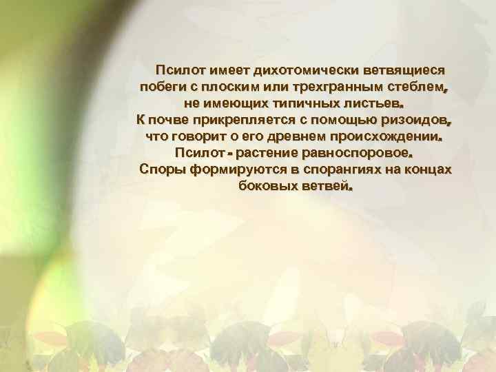 Псилот имеет дихотомически ветвящиеся побеги с плоским или трехгранным стеблем, не имеющих типичных листьев.