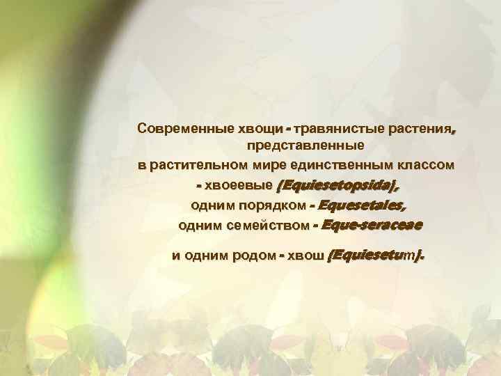 Современные хвощи - травянистые растения, представленные в растительном мире единственным классом - хвоеевые (Equiesetopsida),