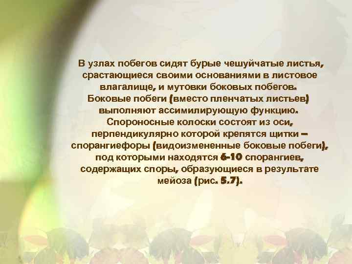 В узлах побегов сидят бурые чешуйчатые листья, срастающиеся своими основаниями в листовое влагалище, и