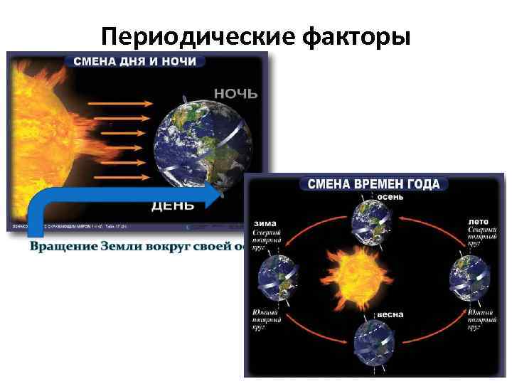 Периодические факторы 