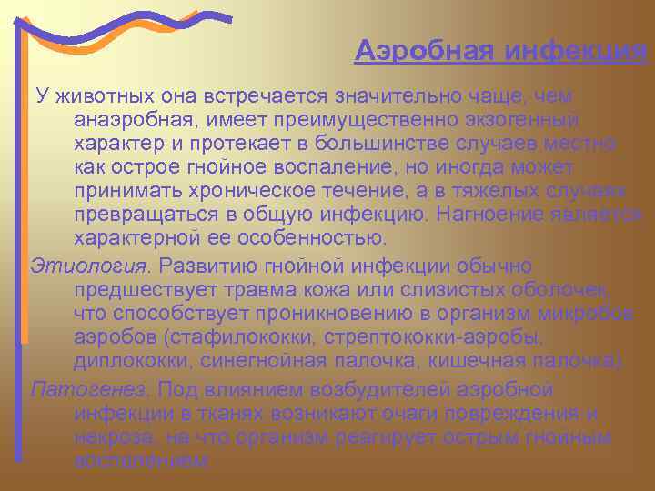 Аэробная инфекция У животных она встречается значительно чаще, чем анаэробная, имеет преимущественно экзогенный характер