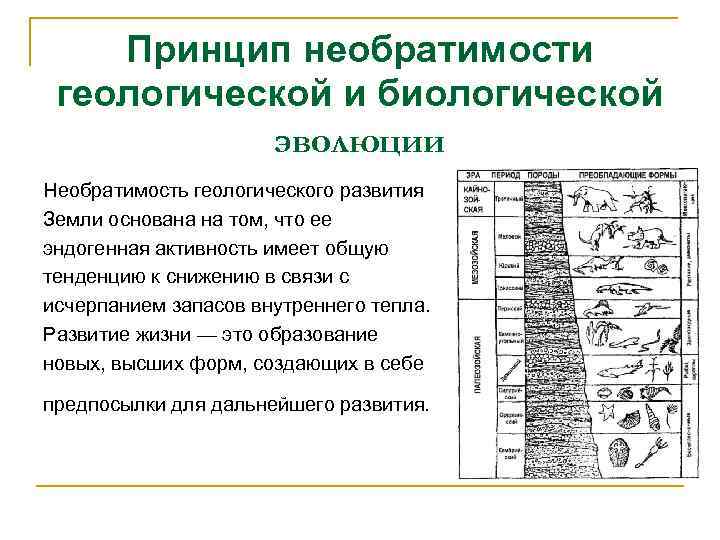 Геологическая эволюция презентация