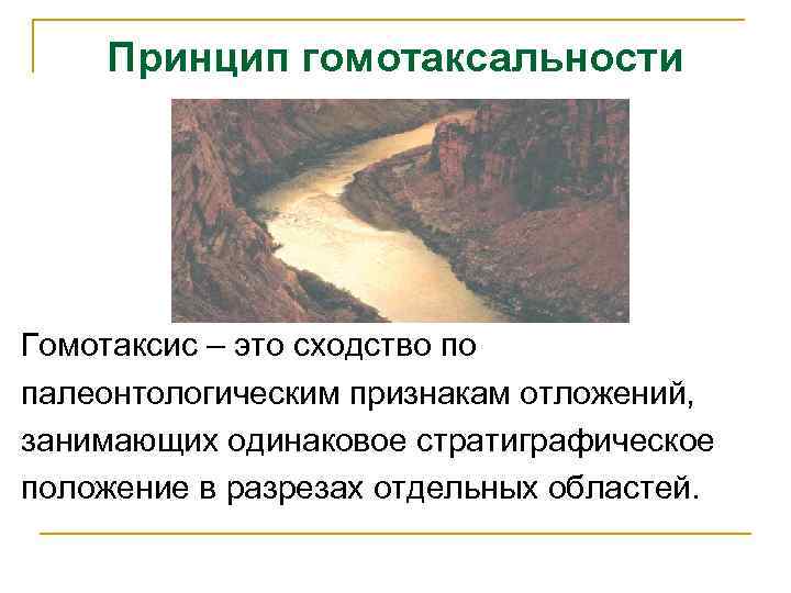 Принцип гомотаксальности Гомотаксис – это сходство по палеонтологическим признакам отложений, занимающих одинаковое стратиграфическое положение