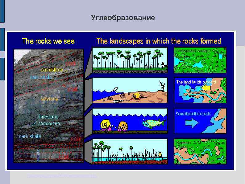 Углеобразование http: //www. uky. edu/KGS/coalbear. htm 