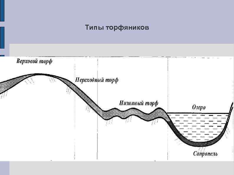 Типы торфяников 