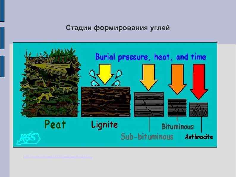 Стадии формирования углей http: //www. uky. edu/KGS/coalkinds. htm 