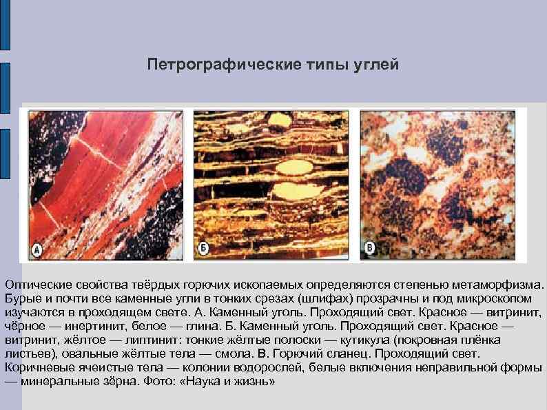 Петрографические типы углей Оптические свойства твёрдых горючих ископаемых определяются степенью метаморфизма. Бурые и почти