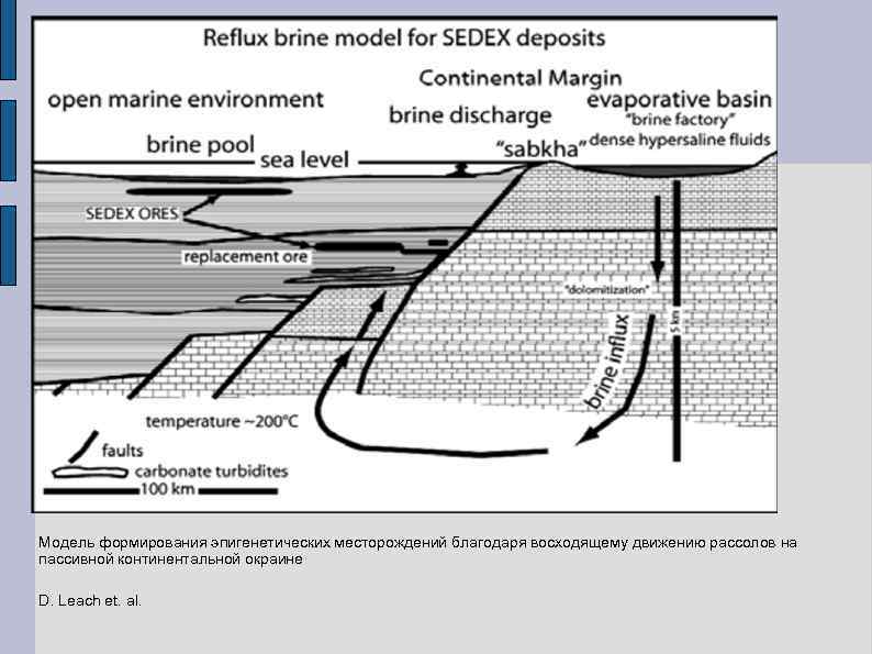 Модель формирования эпигенетических месторождений благодаря восходящему движению рассолов на пассивной континентальной окраине D. Leach