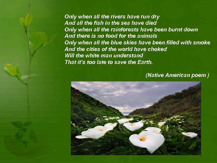 Only when all the rivers have run dry And all the fish in the