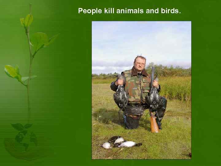 People kill animals and birds. 