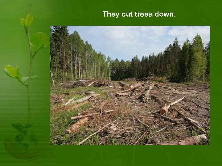 We must stop cutting down trees. Cut down. Cut down Trees. Предложения с Cut down. Cut down Trees Map.