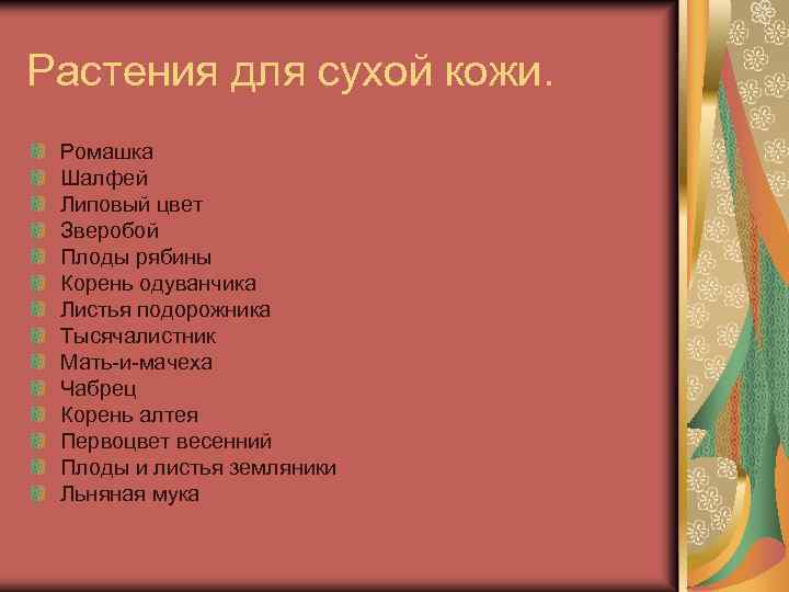Растения для сухой кожи. Ромашка Шалфей Липовый цвет Зверобой Плоды рябины Корень одуванчика Листья