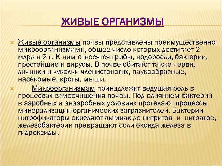 ЖИВЫЕ ОРГАНИЗМЫ Живые организмы почвы представлены преимущественно микроорганизмами, общее число которых достигает 2 млрд