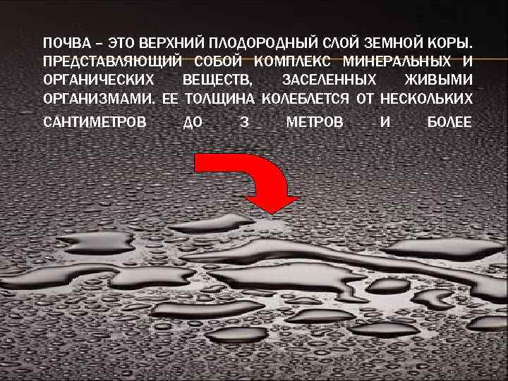 ПОЧВА – ЭТО ВЕРХНИЙ ПЛОДОРОДНЫЙ СЛОЙ ЗЕМНОЙ КОРЫ. ПРЕДСТАВЛЯЮЩИЙ СОБОЙ КОМПЛЕКС МИНЕРАЛЬНЫХ И ОРГАНИЧЕСКИХ