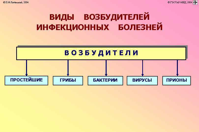 © П. Ф. Литвицкий, 2004 © ГЭОТАР-МЕД, 2004 ВИДЫ ВОЗБУДИТЕЛЕЙ ИНФЕКЦИОННЫХ БОЛЕЗНЕЙ ВОЗБУДИТЕЛИ ПРОСТЕЙШИЕ