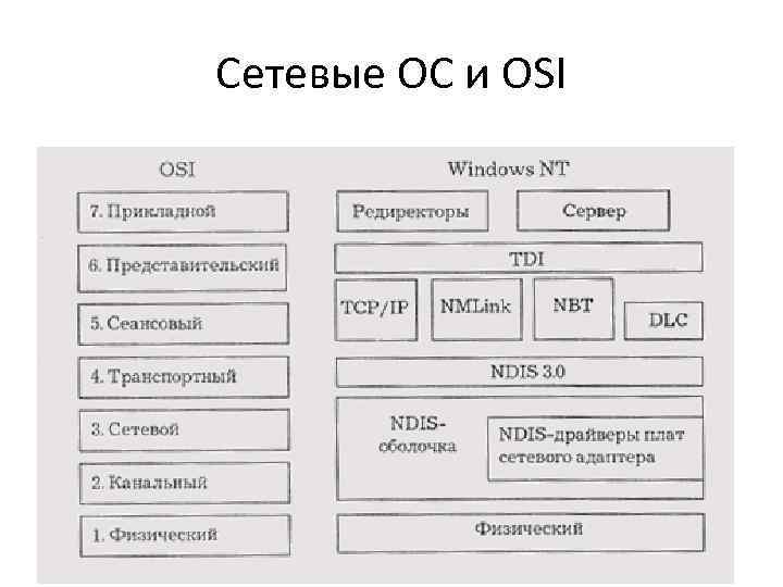 Сетевые ОС и OSI 