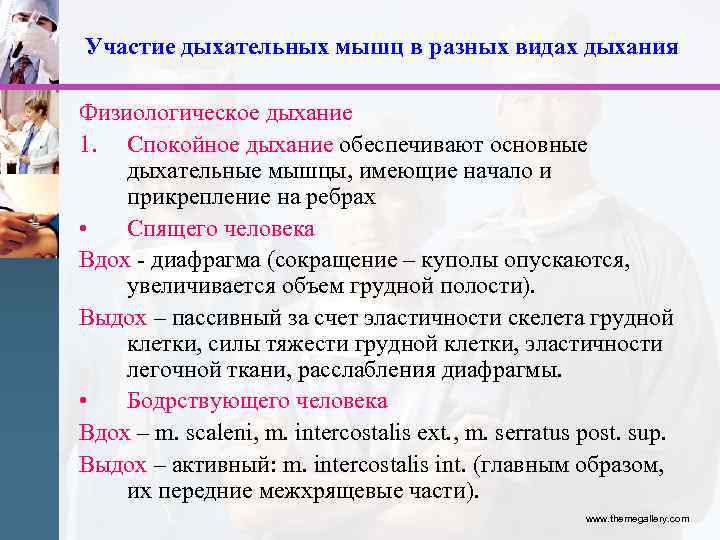 Участие дыхательных мышц в разных видах дыхания Физиологическое дыхание 1. Спокойное дыхание обеспечивают основные