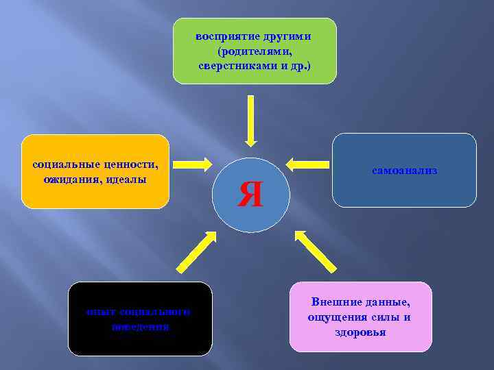 восприятие другими (родителями, сверстниками и др. ) социальные ценности, ожидания, идеалы опыт социального поведения