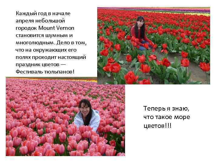 Каждый год в начале апреля небольшой городок Mount Vernon становится шумным и многолюдным. Дело