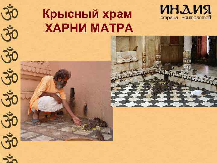 Крысный храм ХАРНИ МАТРА 