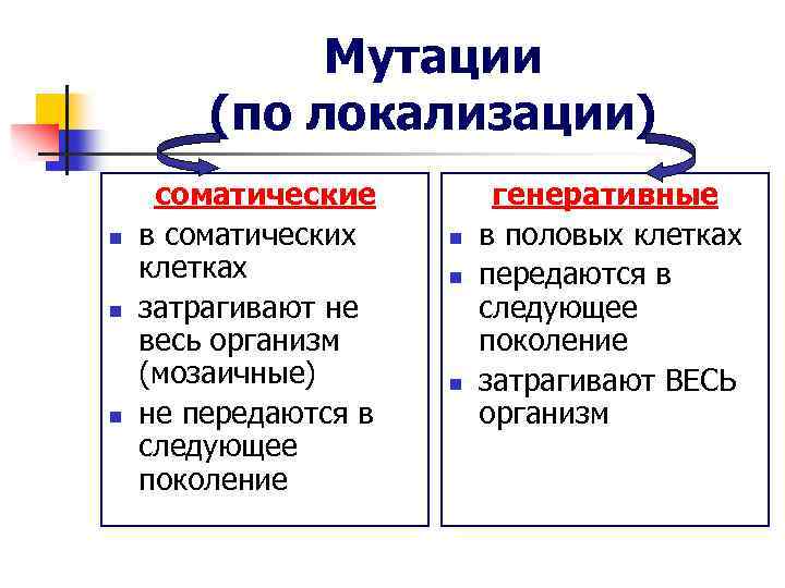 Мутации (по локализации) n n n соматические в соматических клетках затрагивают не весь организм