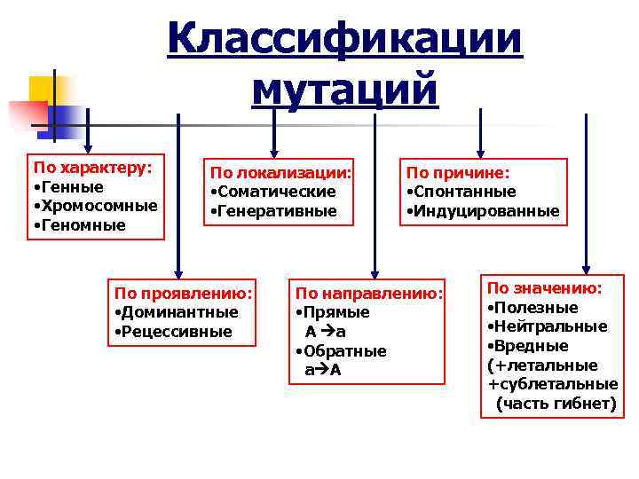Классификации мутаций По характеру: • Генные • Хромосомные • Геномные По локализации: • Соматические